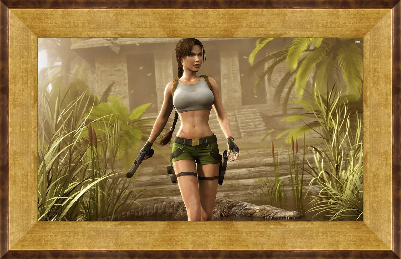 Картина в раме - Tomb Raider