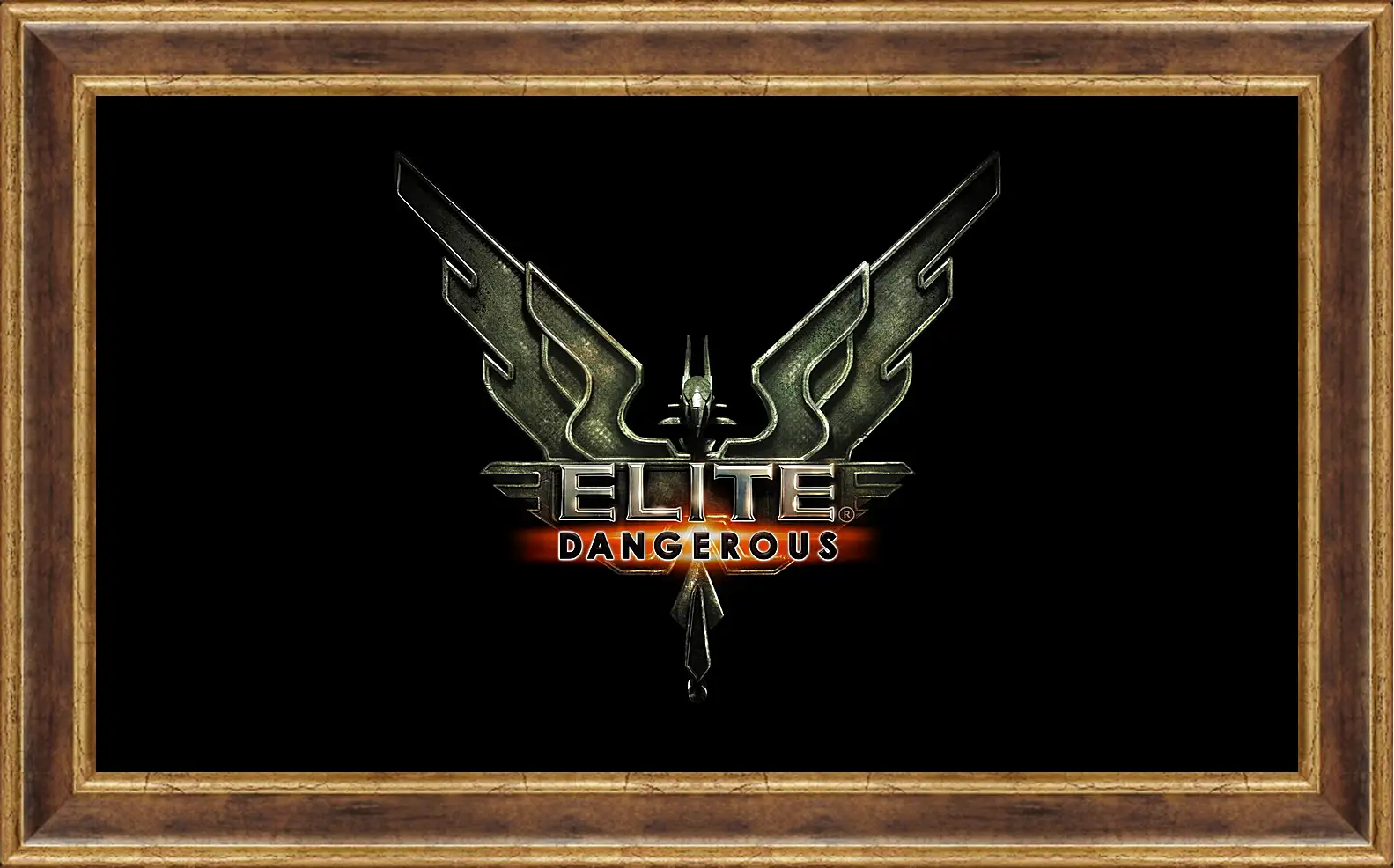 Картина в раме - Elite: Dangerous
