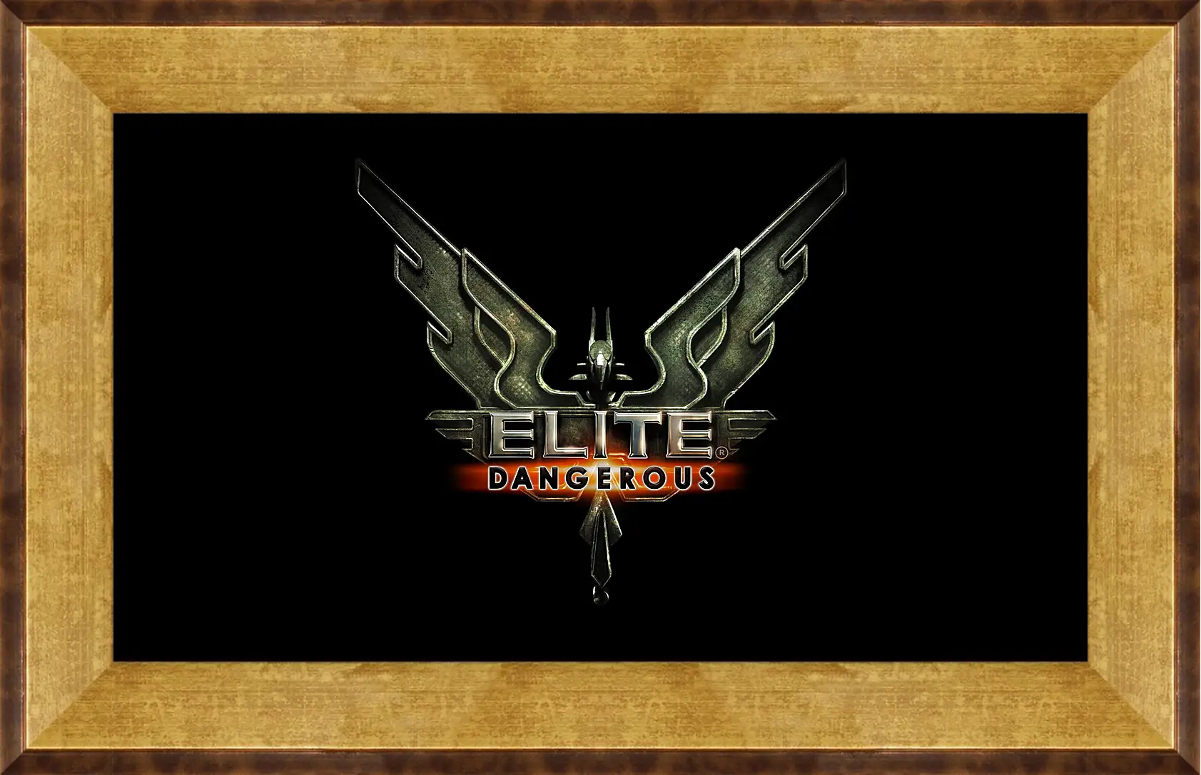 Картина в раме - Elite: Dangerous
