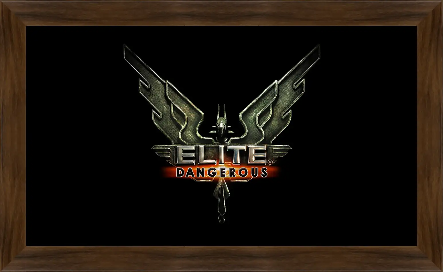 Картина в раме - Elite: Dangerous
