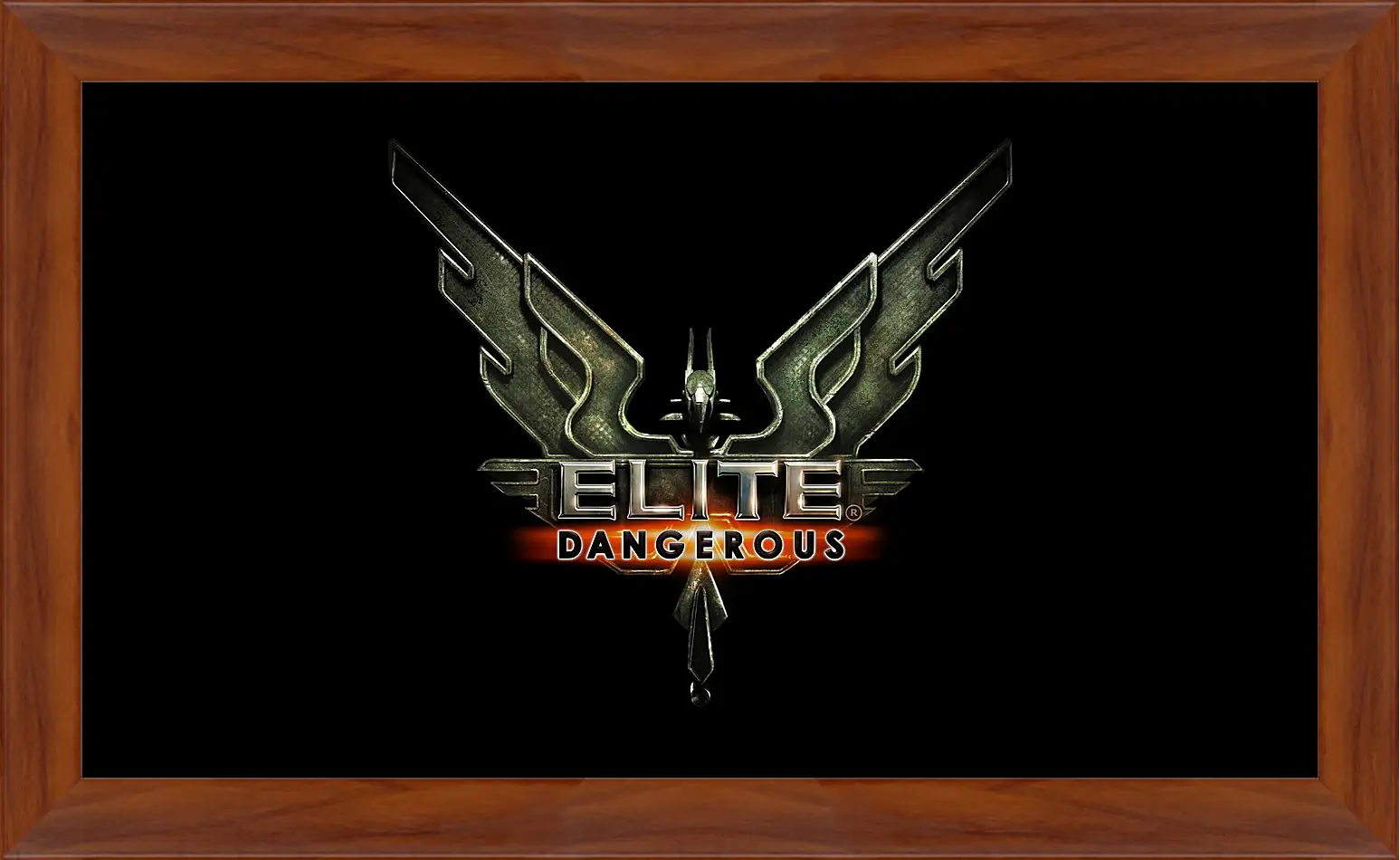 Картина в раме - Elite: Dangerous
