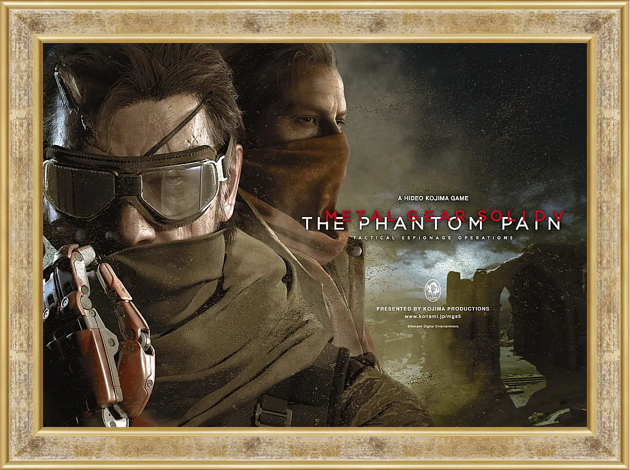 Картина в раме - Metal Gear Solid V: The Phantom Pain
