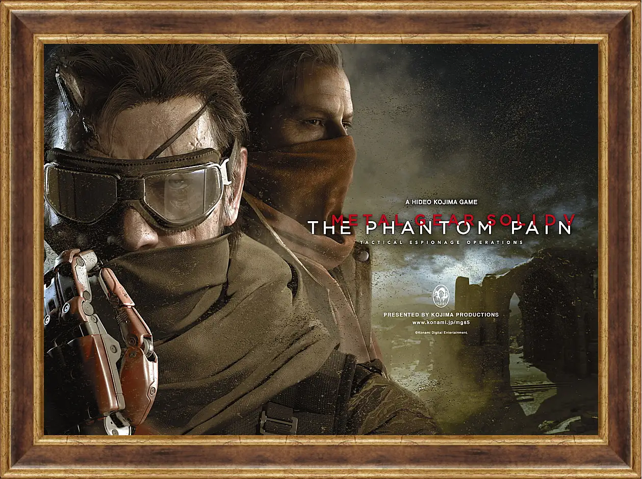 Картина в раме - Metal Gear Solid V: The Phantom Pain
