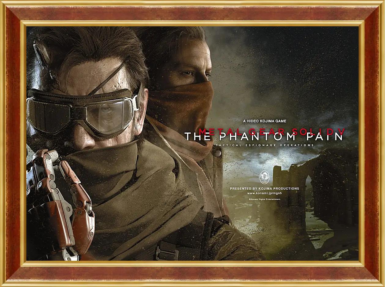 Картина в раме - Metal Gear Solid V: The Phantom Pain
