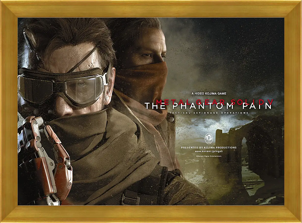 Картина в раме - Metal Gear Solid V: The Phantom Pain
