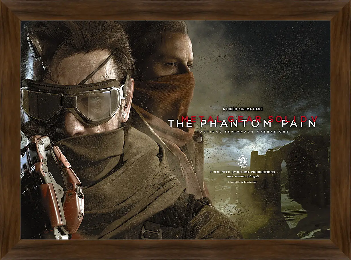 Картина в раме - Metal Gear Solid V: The Phantom Pain
