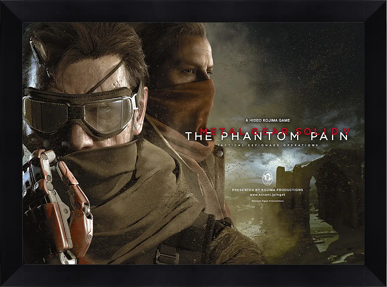 Картина в раме - Metal Gear Solid V: The Phantom Pain
