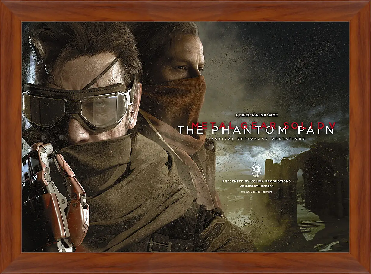 Картина в раме - Metal Gear Solid V: The Phantom Pain
