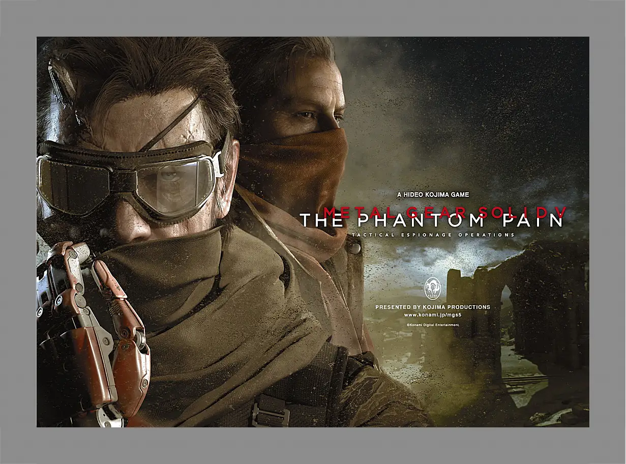 Картина в раме - Metal Gear Solid V: The Phantom Pain
