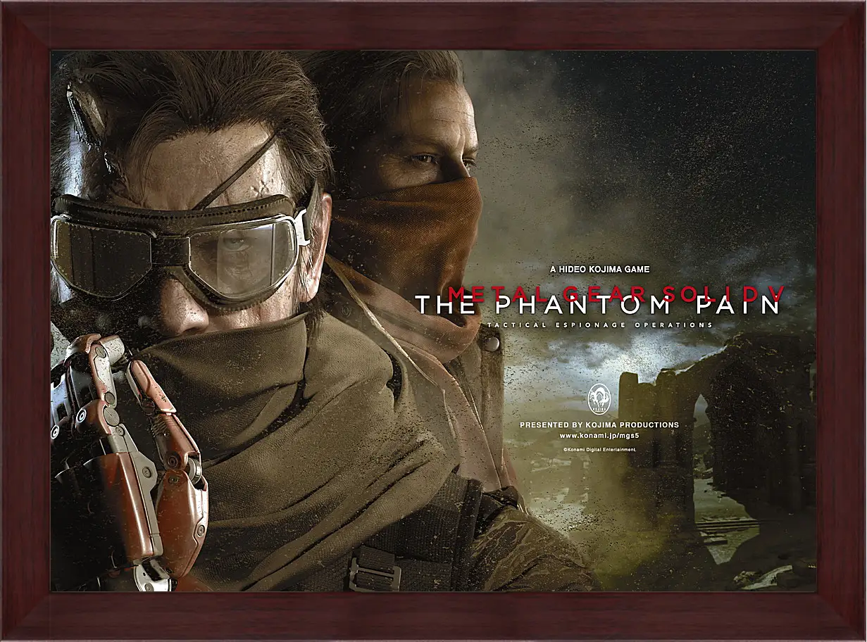 Картина в раме - Metal Gear Solid V: The Phantom Pain
