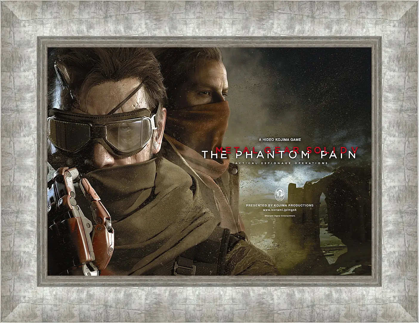 Картина в раме - Metal Gear Solid V: The Phantom Pain
