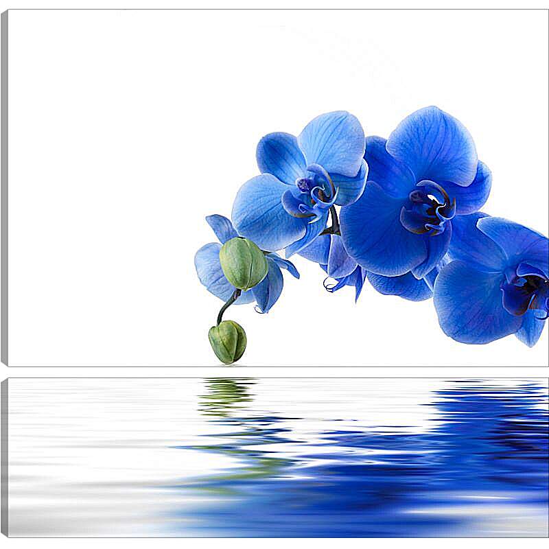 Модульная картина - Синяя орхидея