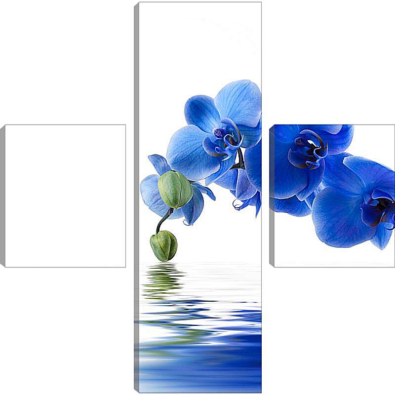 Модульная картина - Синяя орхидея