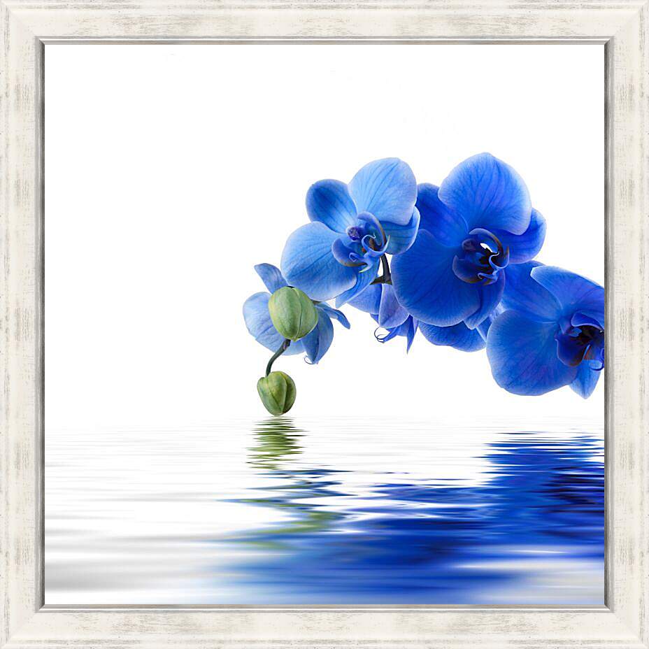 Картина в раме - Синяя орхидея