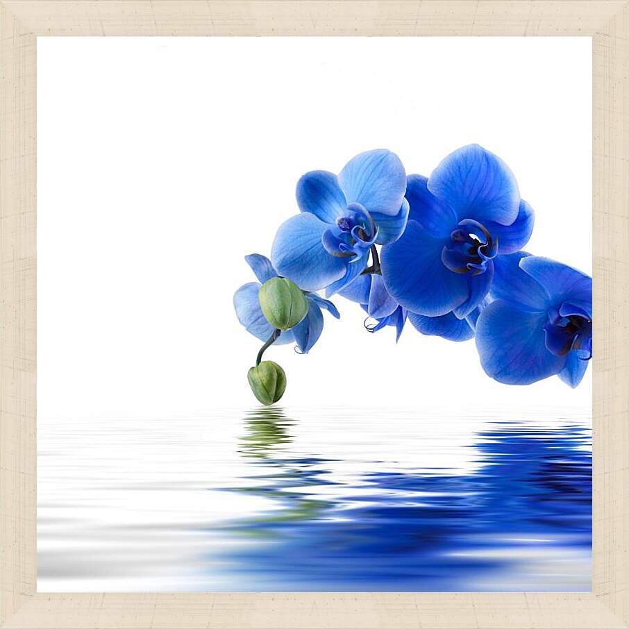 Картина в раме - Синяя орхидея