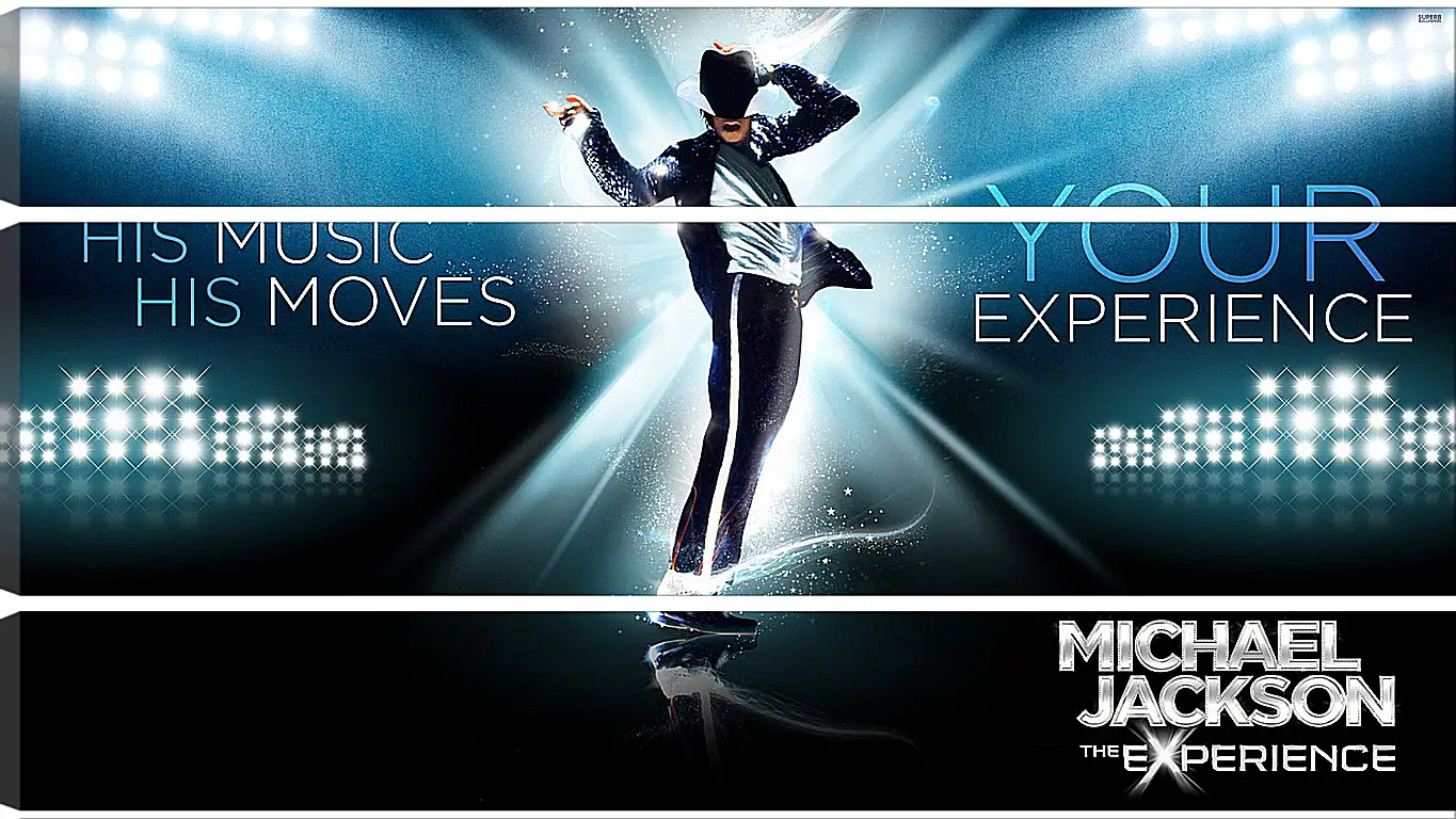 Модульная картина - Michael Jackson: The Experience
