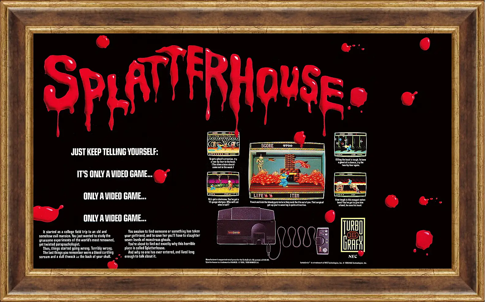 Картина в раме - Splatterhouse 
