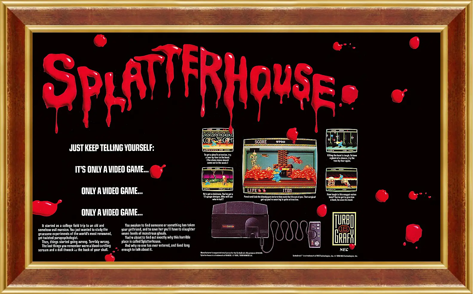 Картина в раме - Splatterhouse 
