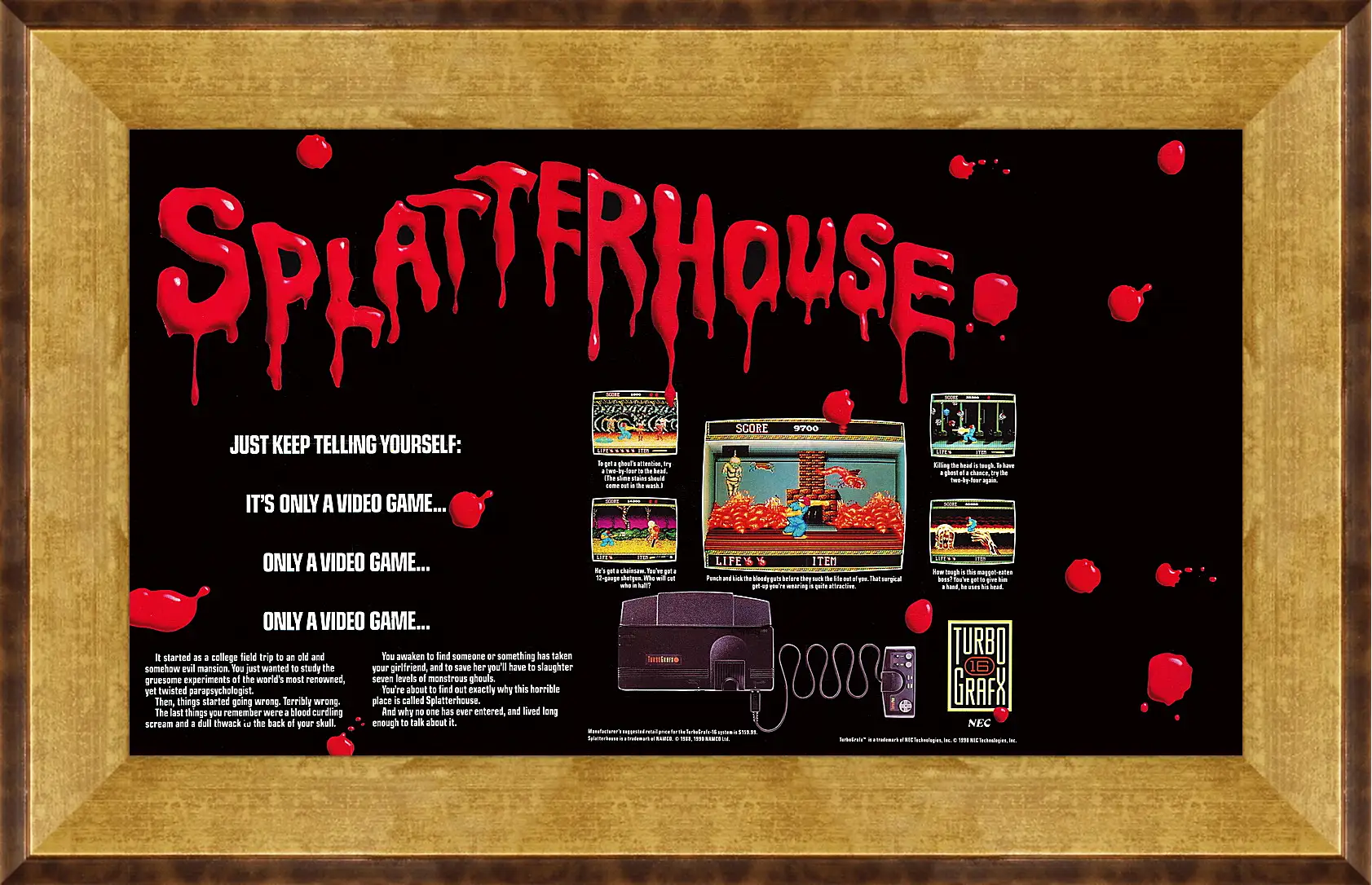 Картина в раме - Splatterhouse 
