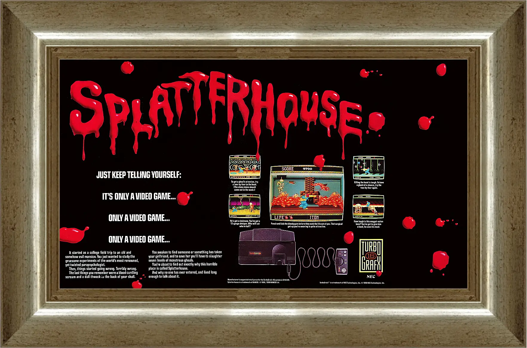 Картина в раме - Splatterhouse 
