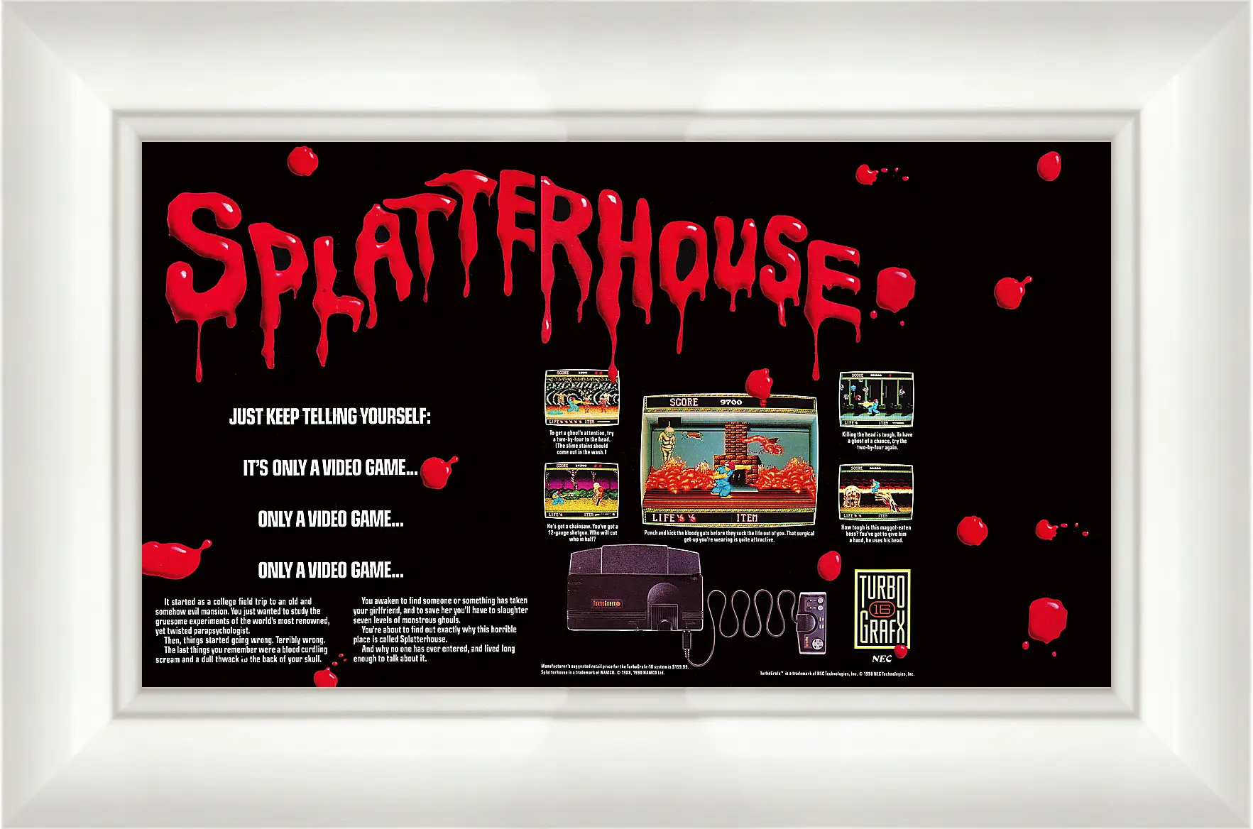 Картина в раме - Splatterhouse 
