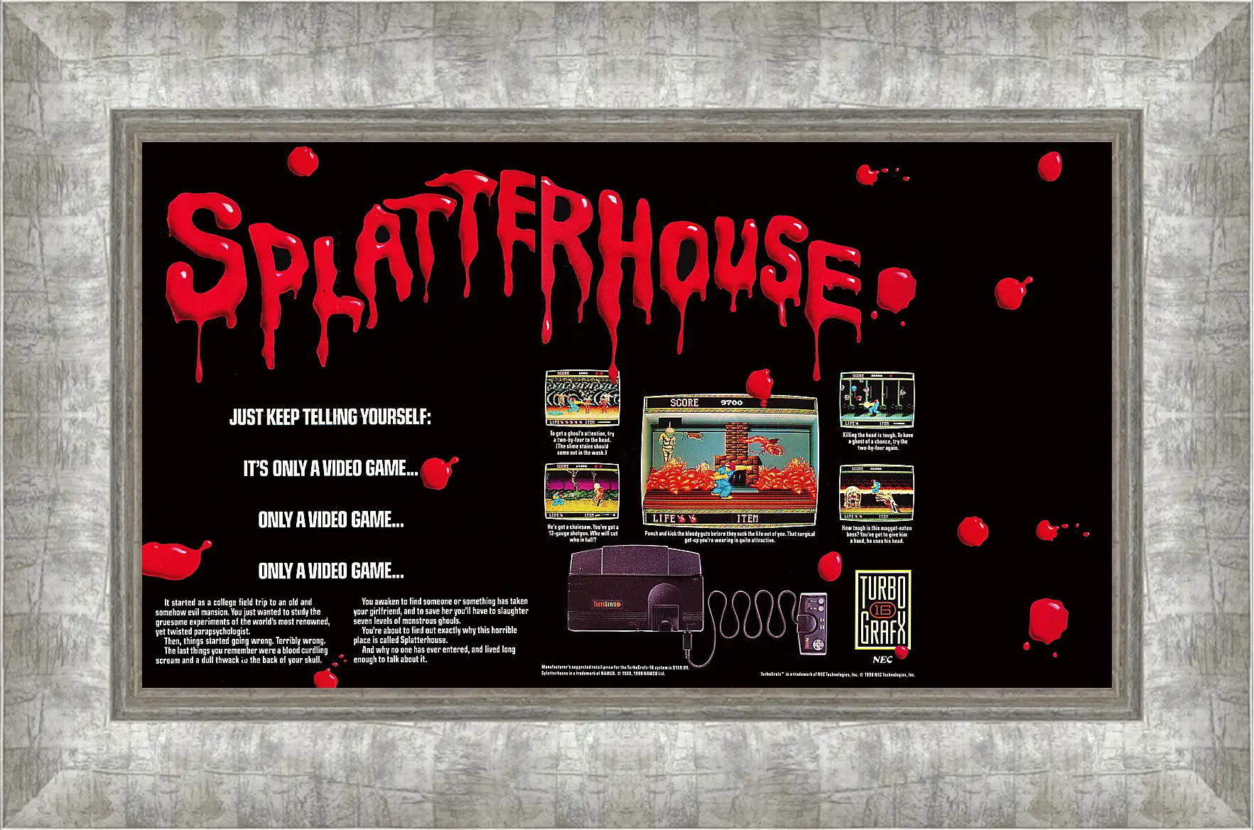 Картина в раме - Splatterhouse 
