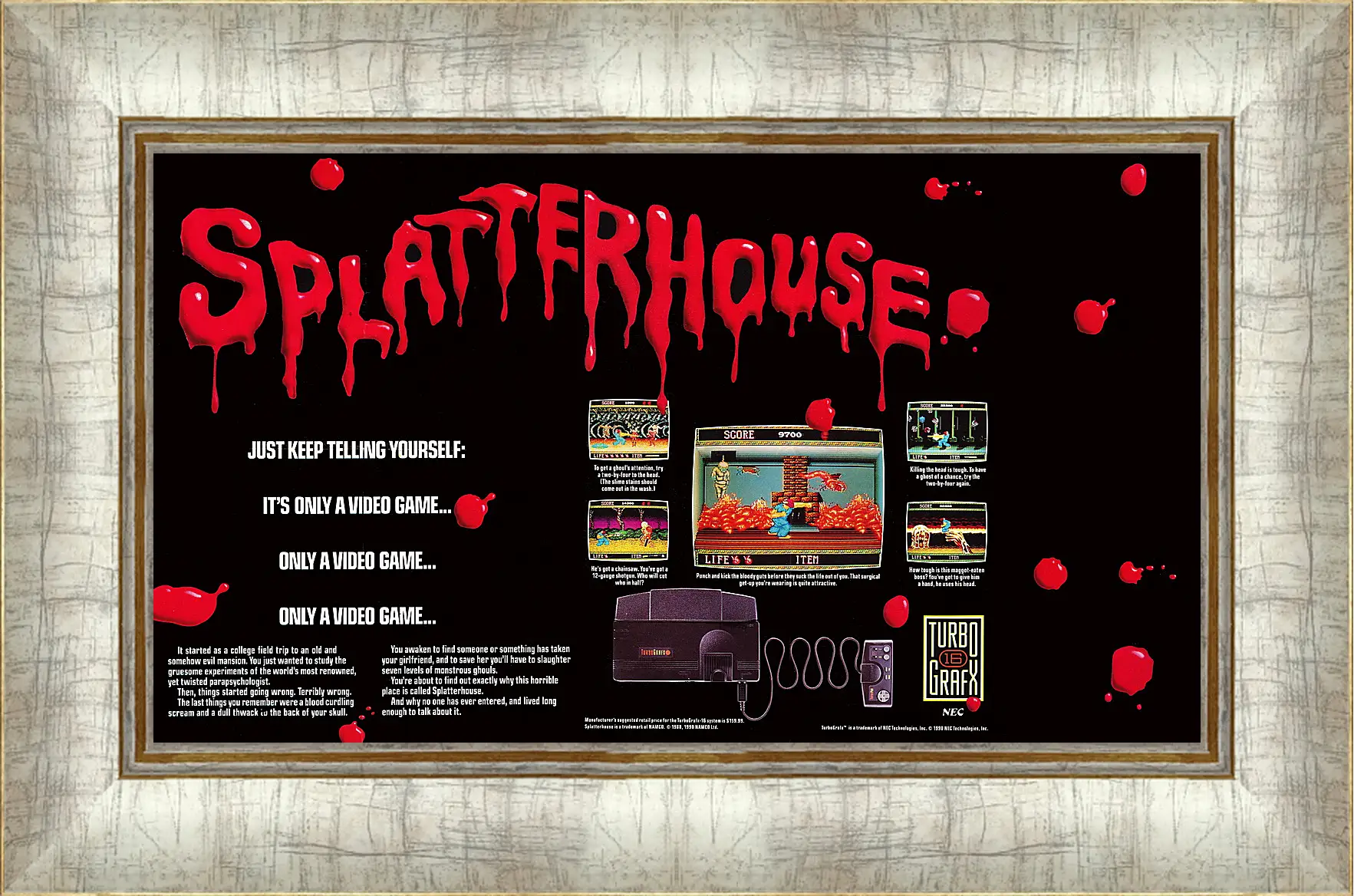 Картина в раме - Splatterhouse 
