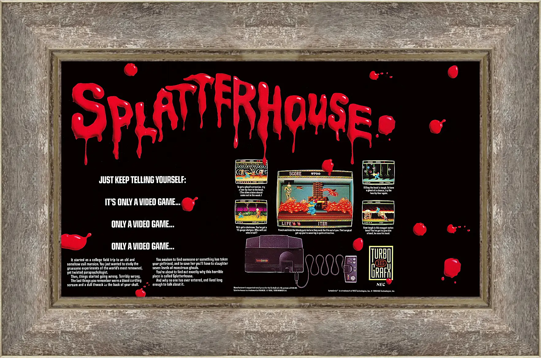 Картина в раме - Splatterhouse 
