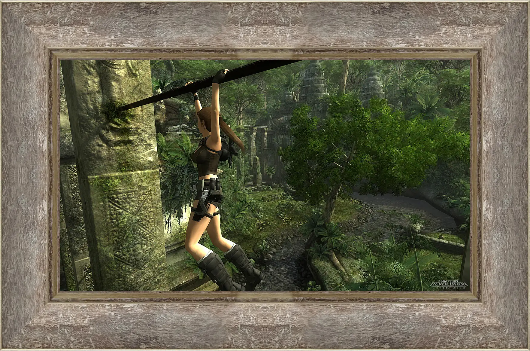 Картина в раме - Tomb Raider