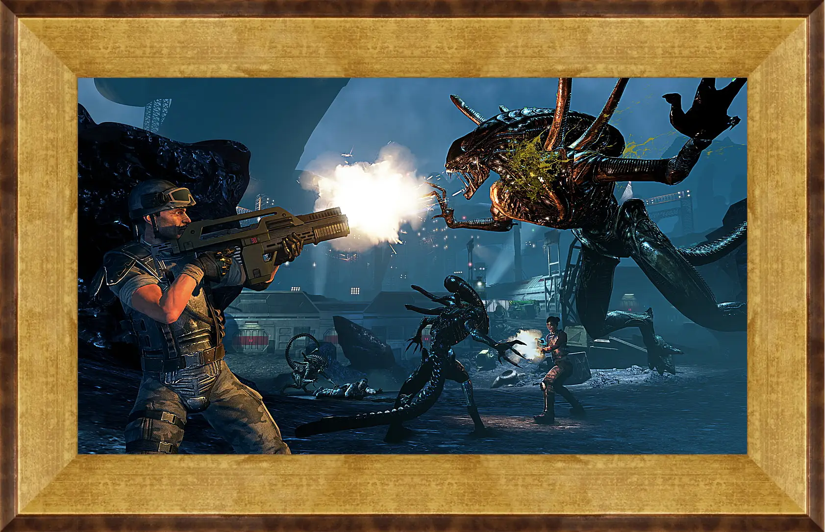 Картина в раме - Aliens: Colonial Marines
