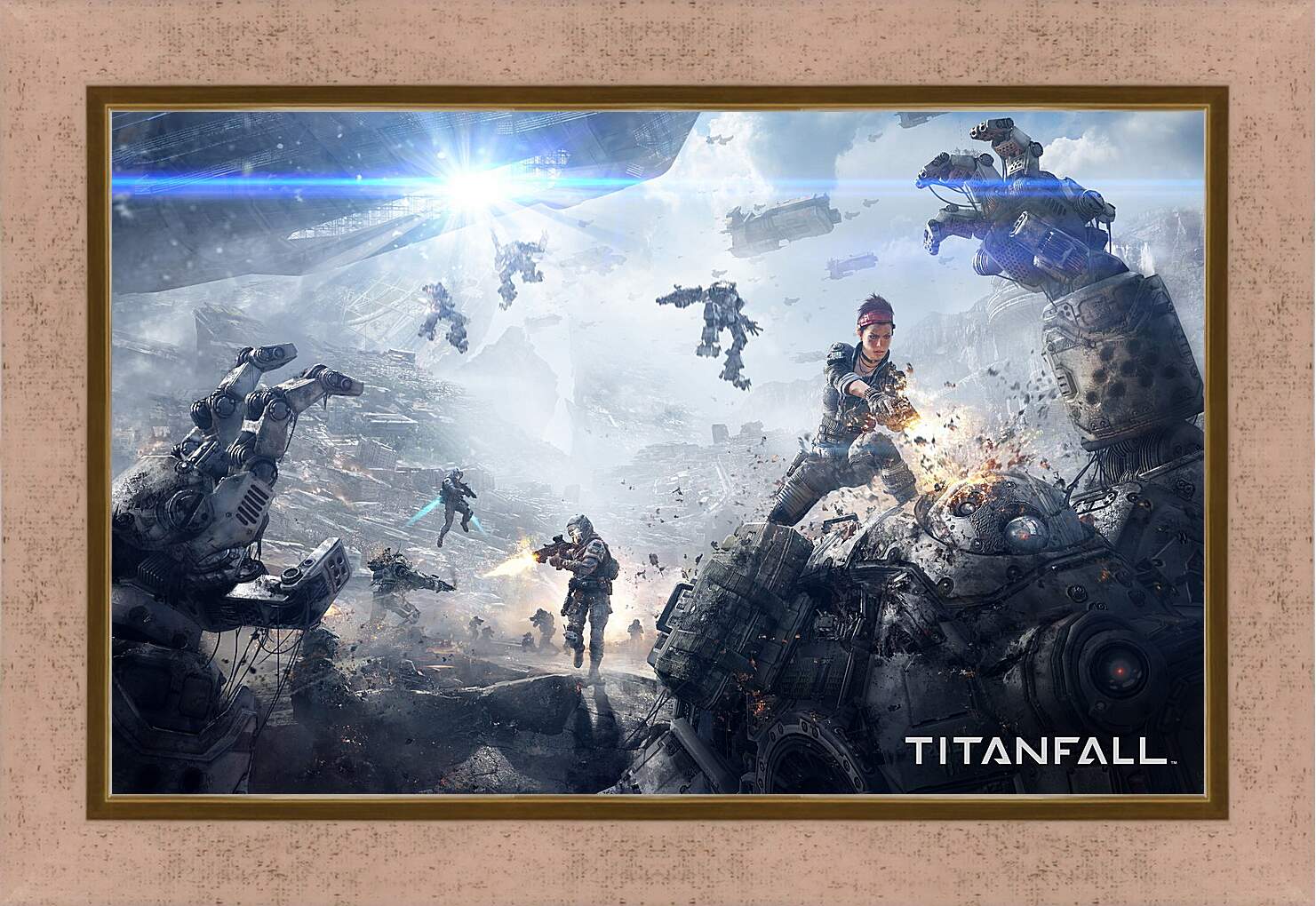 Картина в раме - Titanfall
