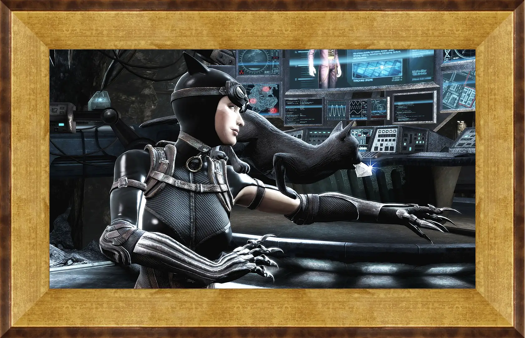 Картина в раме - Injustice: Gods Among Us
