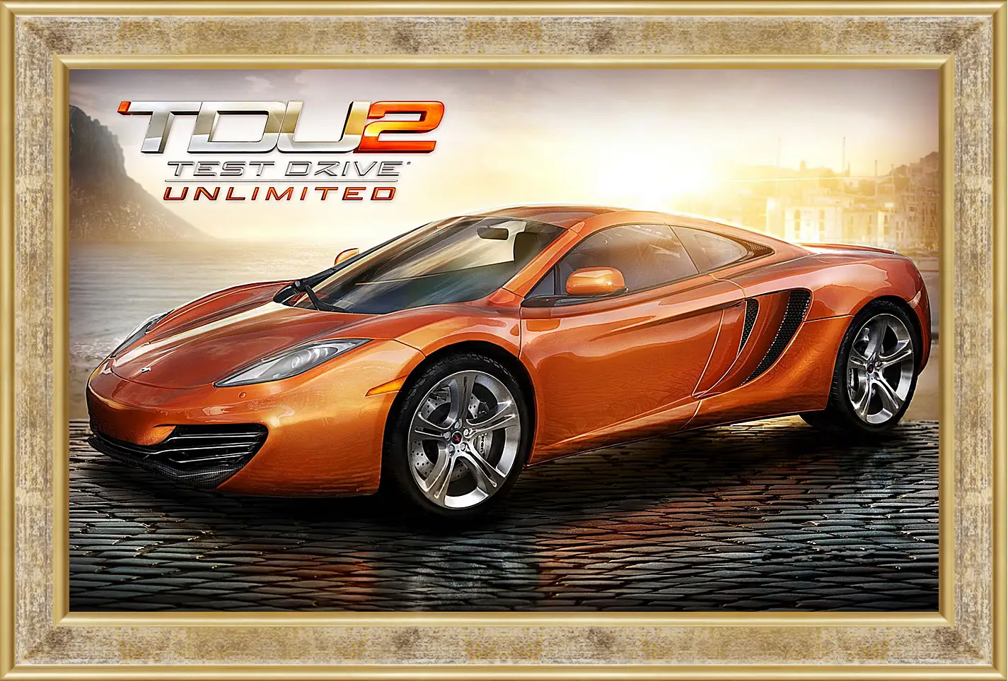 Картина в раме - Test Drive Unlimited 2
