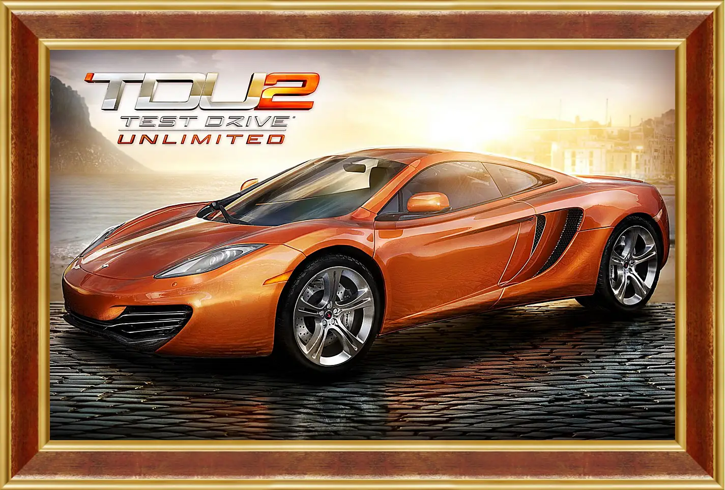 Картина в раме - Test Drive Unlimited 2
