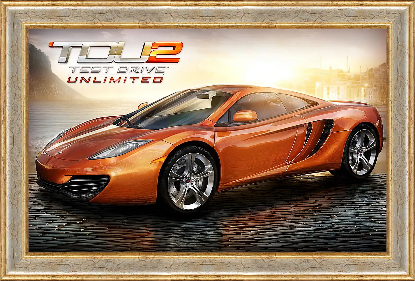 Картина в раме - Test Drive Unlimited 2
