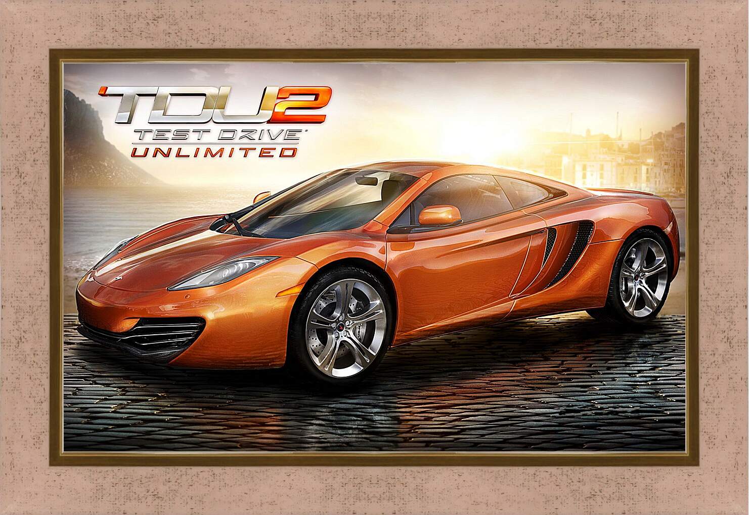 Картина в раме - Test Drive Unlimited 2
