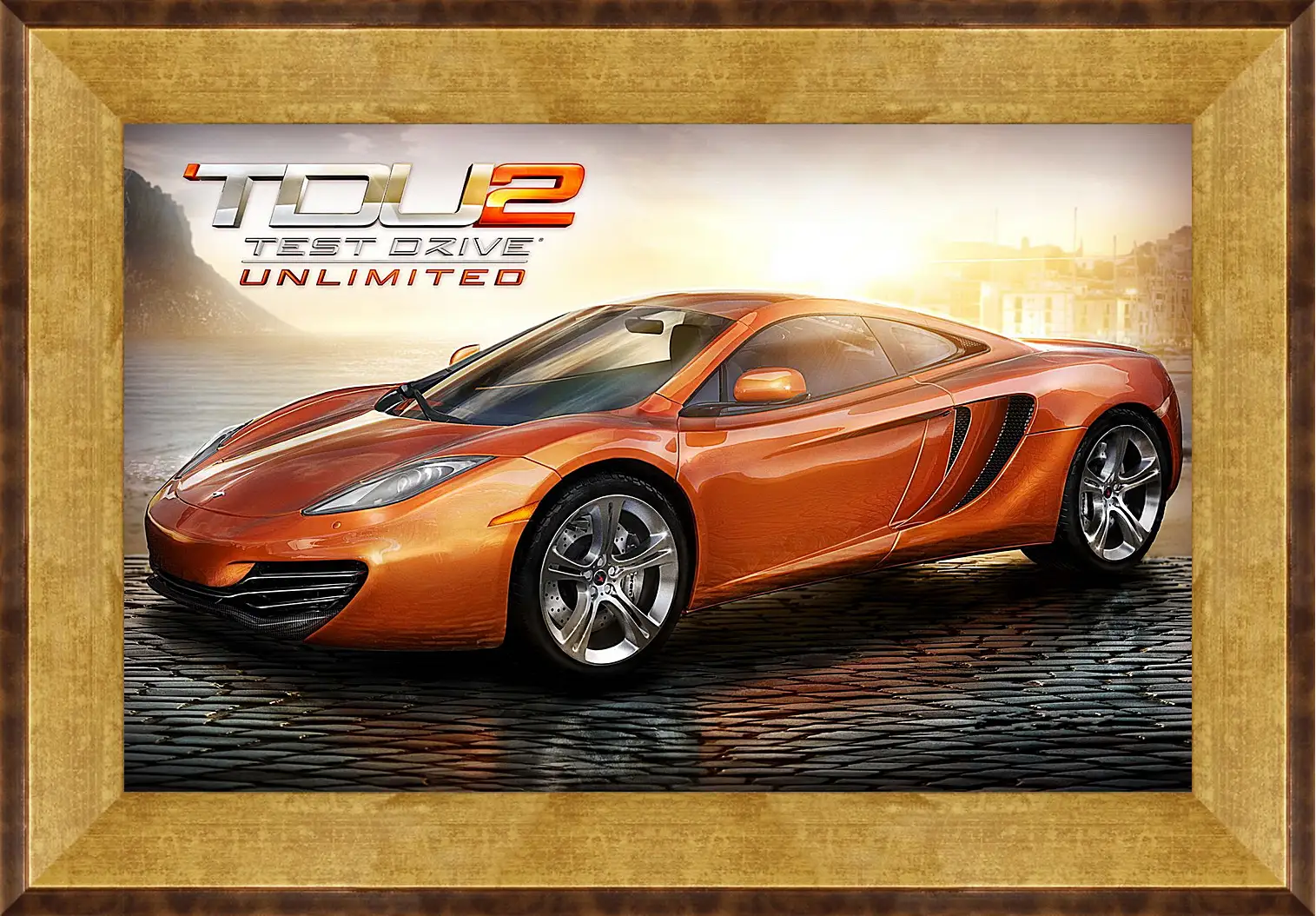 Картина в раме - Test Drive Unlimited 2
