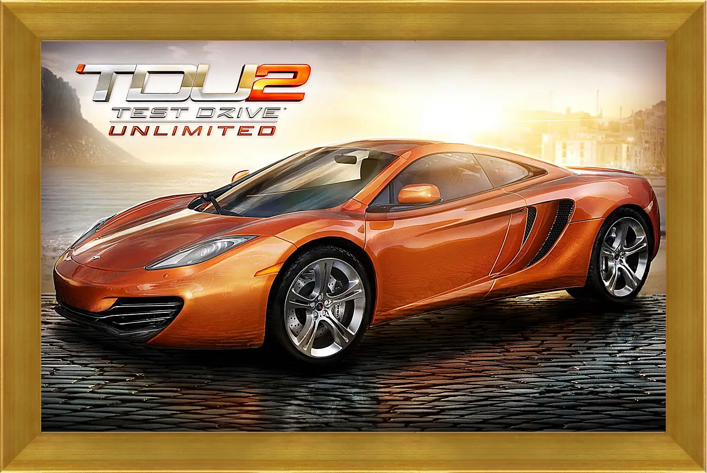 Картина в раме - Test Drive Unlimited 2
