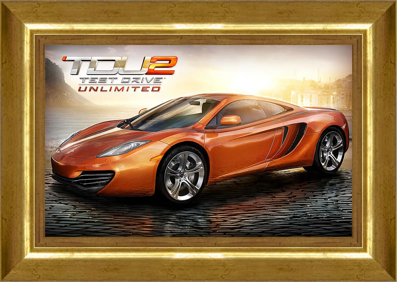 Картина в раме - Test Drive Unlimited 2
