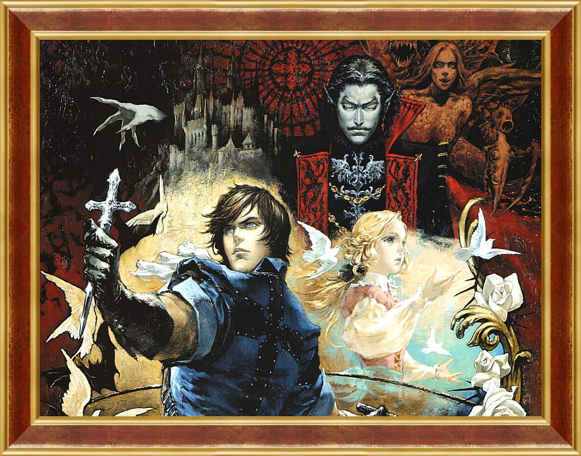 Картина в раме - Castlevania: The Dracula X Chronicles
