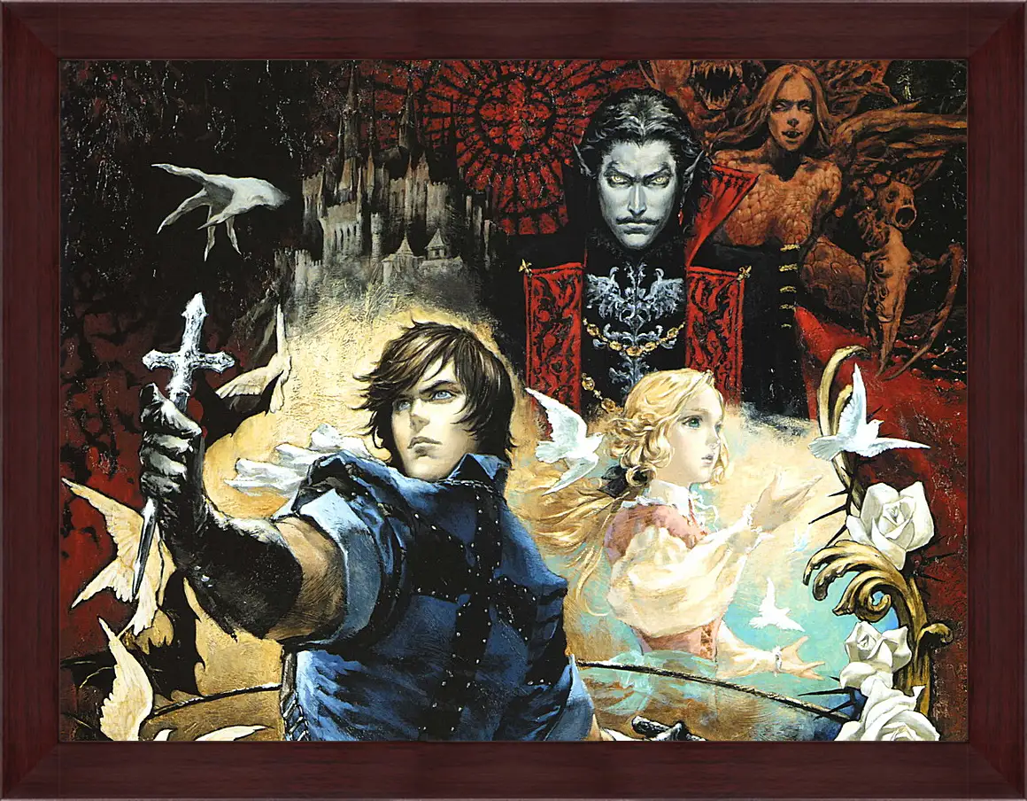 Картина в раме - Castlevania: The Dracula X Chronicles
