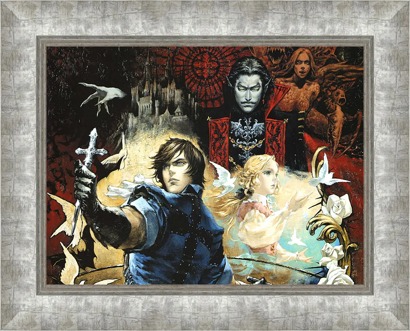 Картина в раме - Castlevania: The Dracula X Chronicles
