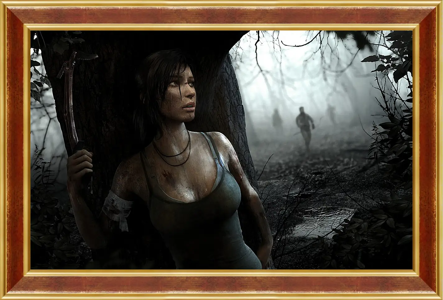 Картина в раме - Tomb Raider