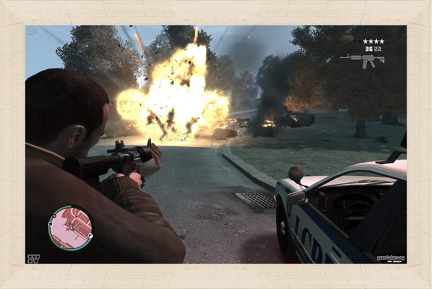 Картина в раме - Grand Theft Auto IV
