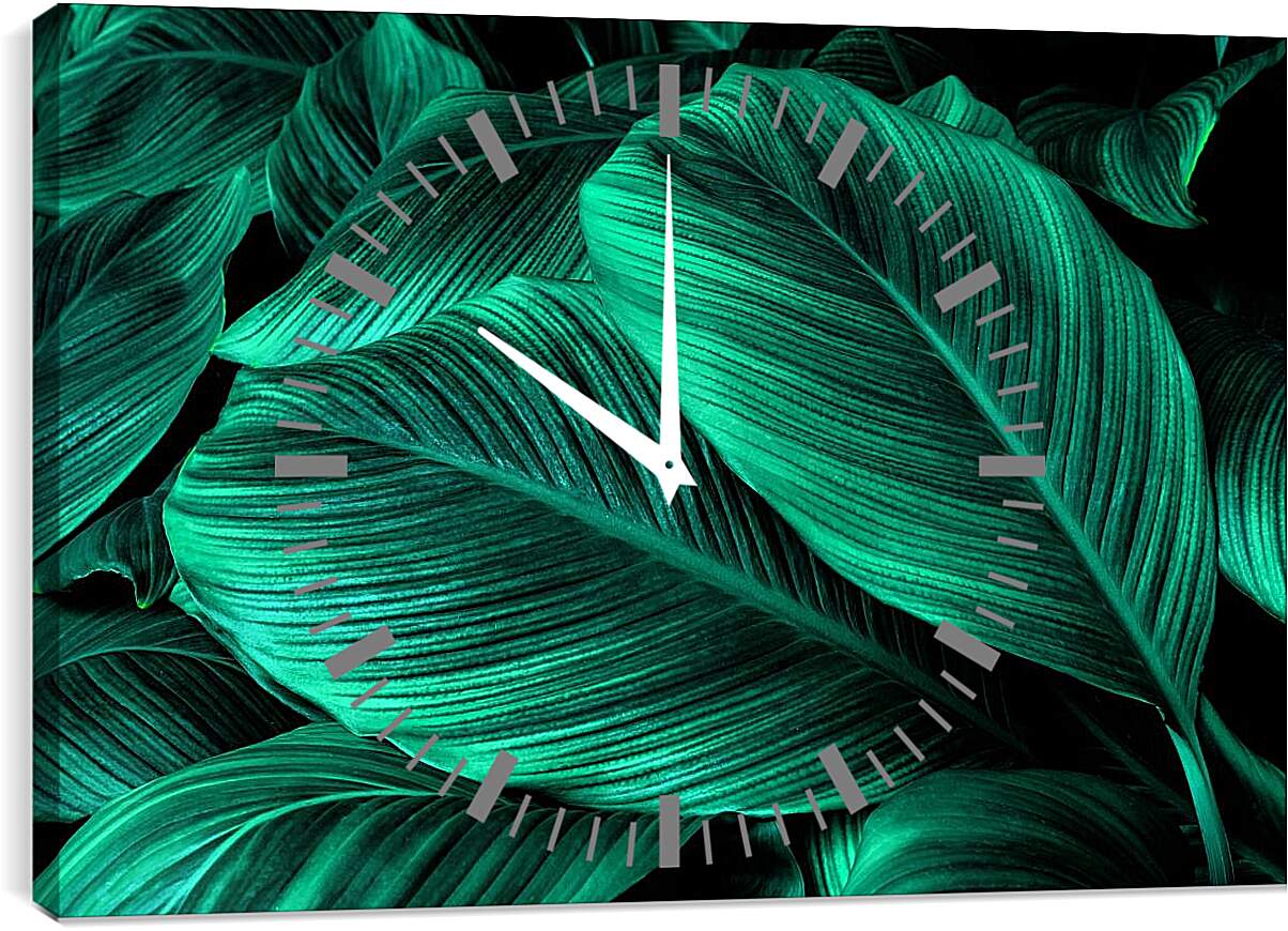 Часы картина - Лист пальмы
