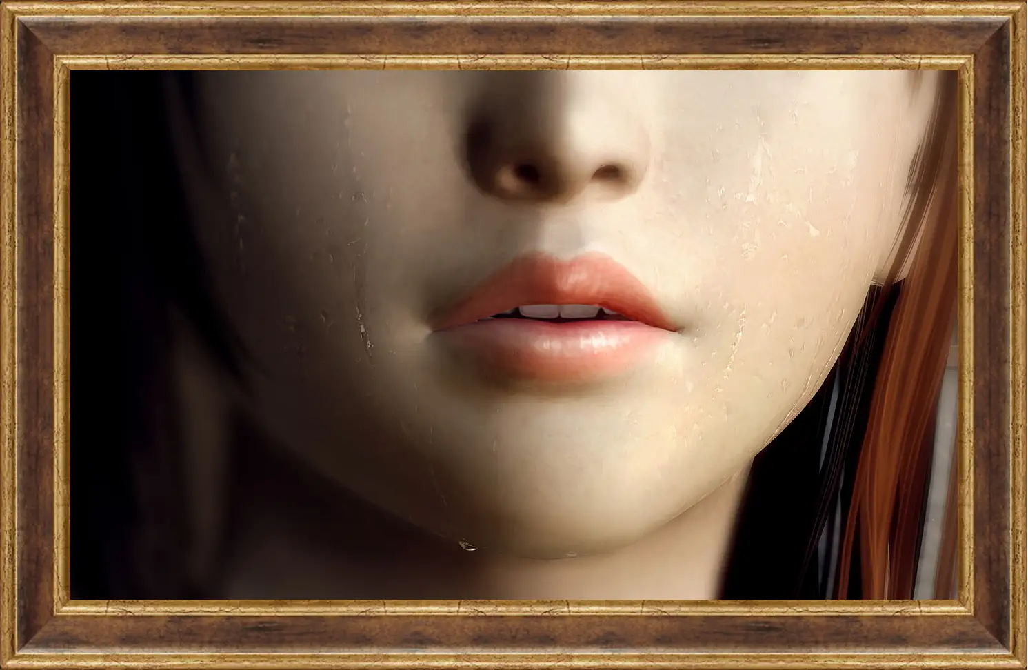 Картина в раме - Dead Or Alive 5
