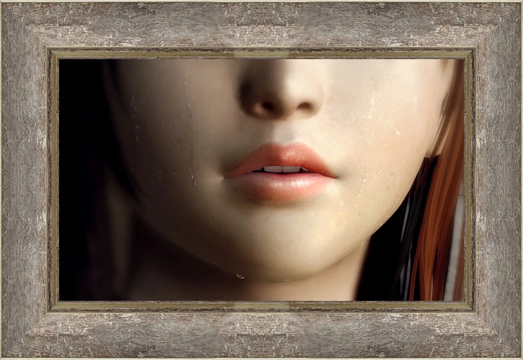 Картина в раме - Dead Or Alive 5
