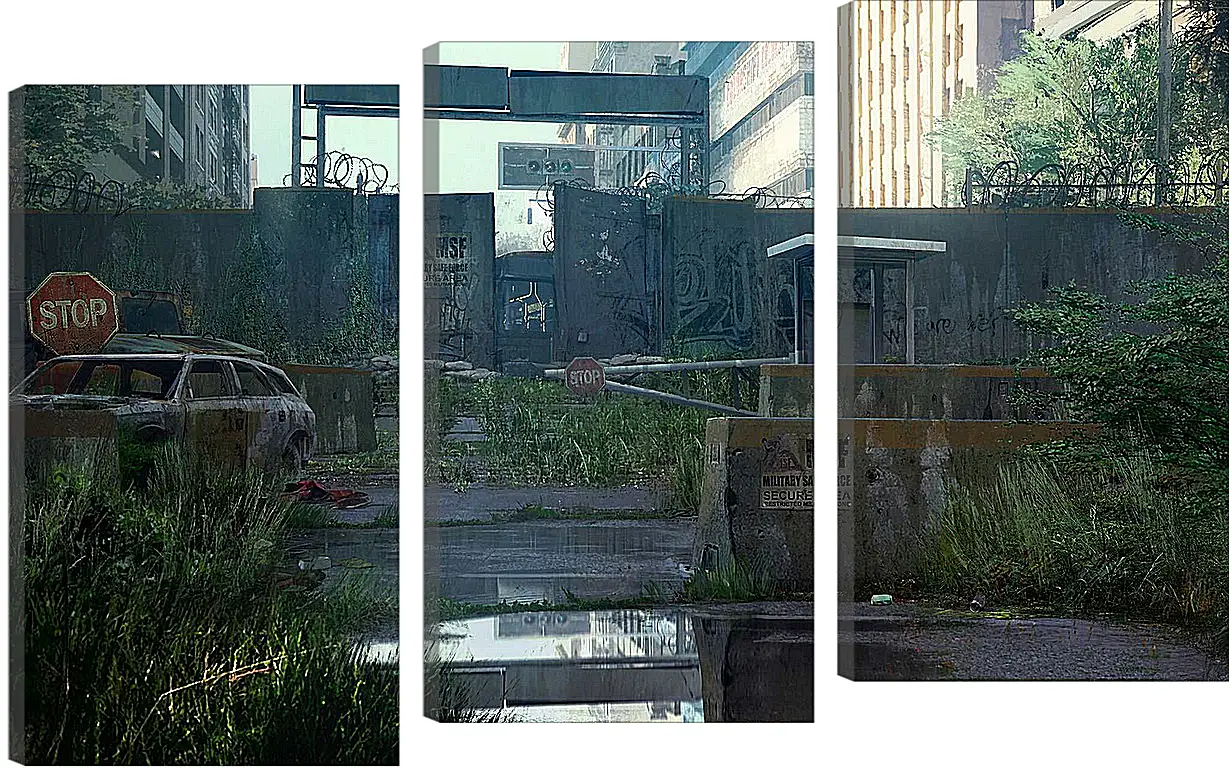 Модульная картина - The Last Of Us
