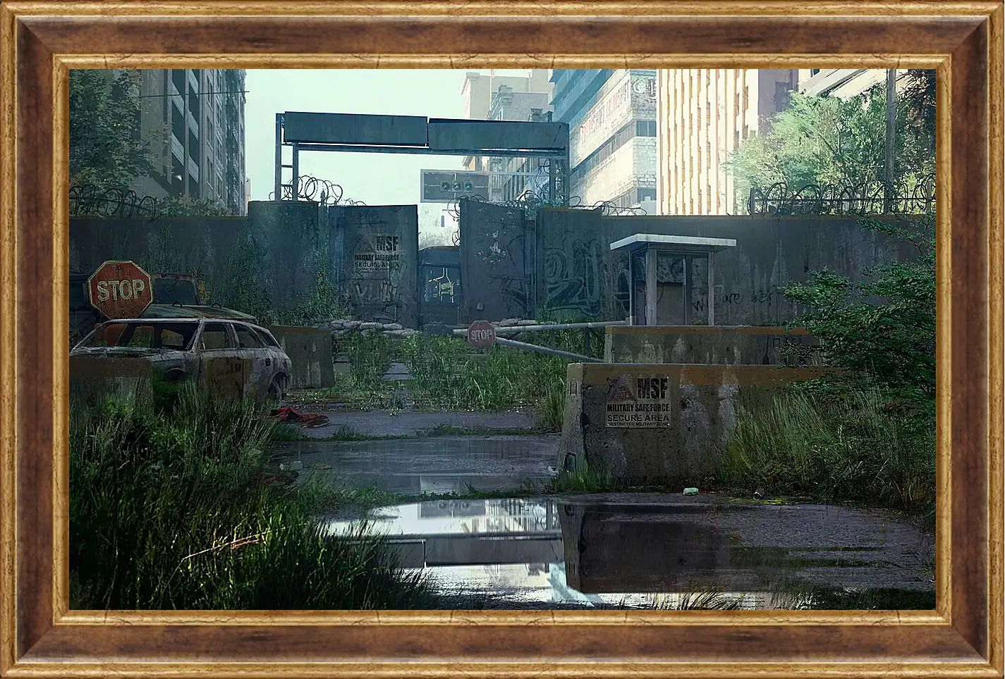 Картина в раме - The Last Of Us
