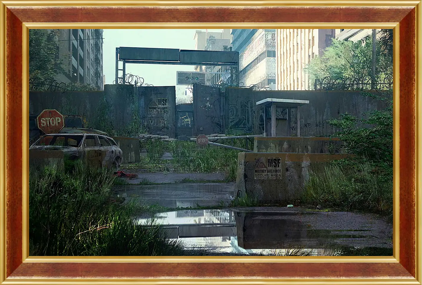 Картина в раме - The Last Of Us
